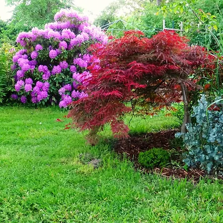 Ferienwohnung Sobrigau