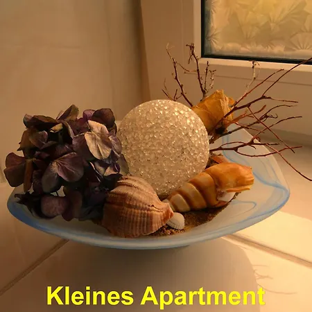 公寓 Ferienwohnung Sobrigau Sobrigau